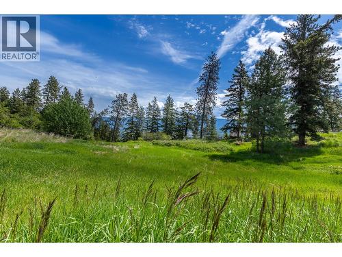 Proposed Lot B 1212 Page Road, Spallumcheen, BC 