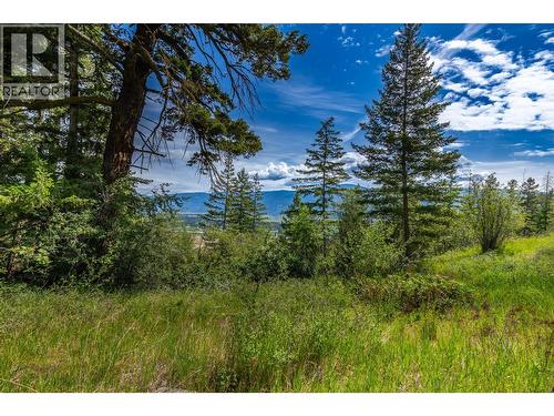 Potential home building site with valley views. - Proposed Lot B 1212 Page Road, Spallumcheen, BC 