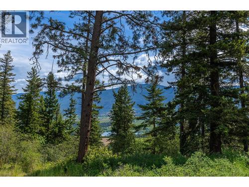 Proposed Lot B 1212 Page Road, Spallumcheen, BC 