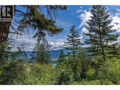 Proposed Lot B 1212 Page Road, Spallumcheen, BC 