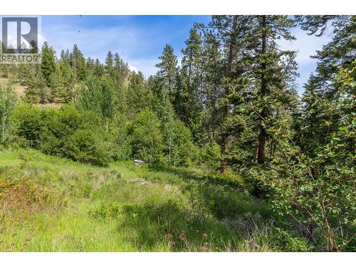 Proposed Lot B 1212 Page Road, Spallumcheen, BC 