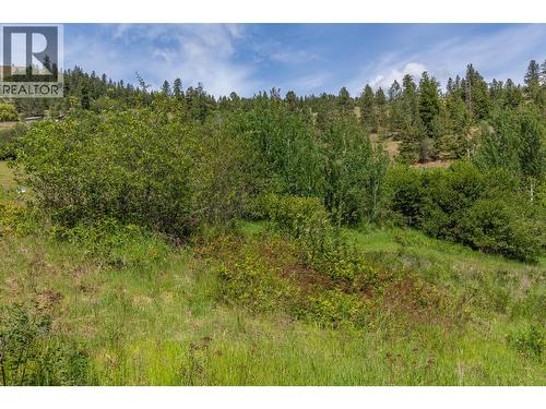 Proposed Lot B 1212 Page Road, Spallumcheen, BC 