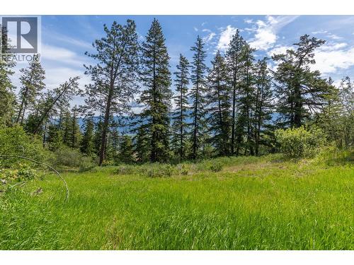Proposed Lot B 1212 Page Road, Spallumcheen, BC 