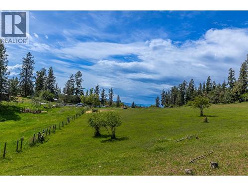 Fenced pastural field. - Proposed Lot B 1212 Page Road, Spallumcheen, BC 