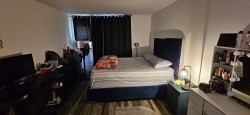 Bedroom - 
