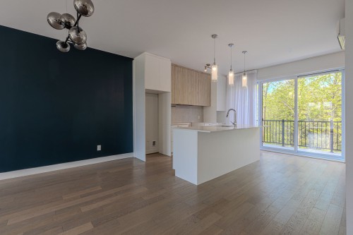 Cuisine - 204-9265 Boul. De La Grande-Allée, Mirabel, QC - Indoor Photo Showing Kitchen