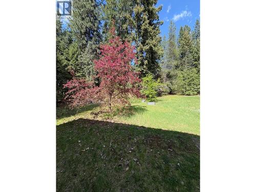 945 Pine Crescent, Genelle, BC - Outdoor With View