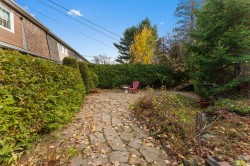 Garden - 