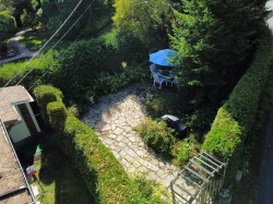 Garden - 
