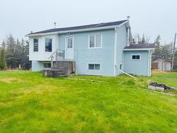 52 Hodgewater Line  Makinsons, NL A0A 2X0