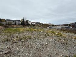 13 Shea Place Bay Roberts, NL A0A 1G0