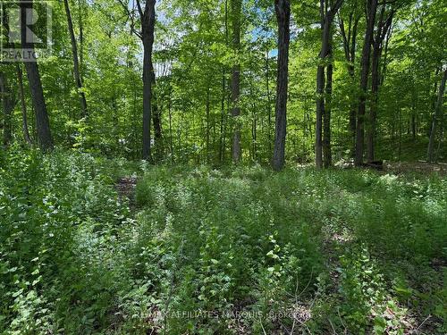 325 Cedar Sands Road, Rideau Lakes, ON 