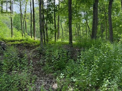 325 Cedar Sands Road, Rideau Lakes, ON 