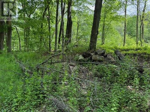 325 Cedar Sands Road, Rideau Lakes, ON 