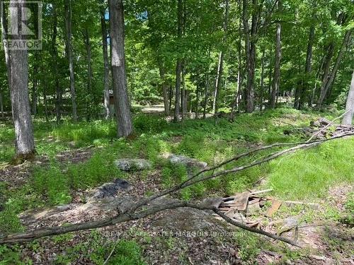 325 Cedar Sands Road, Rideau Lakes, ON 