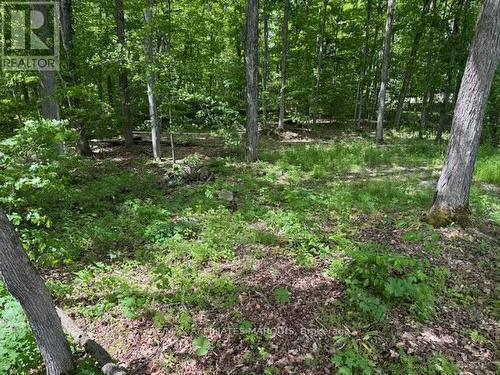 325 Cedar Sands Road, Rideau Lakes, ON 