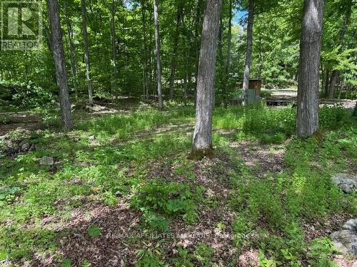 325 Cedar Sands Road, Rideau Lakes, ON 