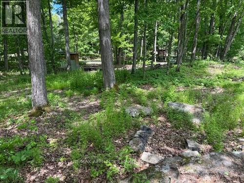 325 Cedar Sands Road, Rideau Lakes, ON 