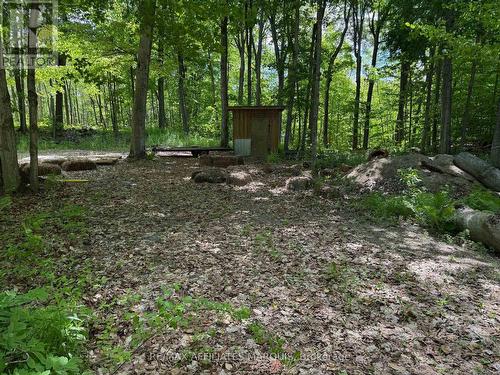 325 Cedar Sands Road, Rideau Lakes, ON 