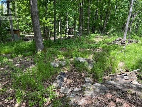325 Cedar Sands Road, Rideau Lakes, ON 