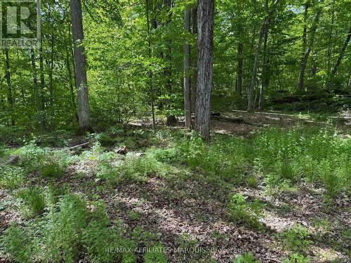 325 Cedar Sands Road, Rideau Lakes, ON 