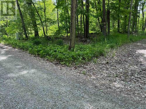 325 Cedar Sands Road, Rideau Lakes, ON 