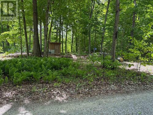 325 Cedar Sands Road, Rideau Lakes, ON 