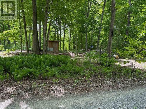 325 Cedar Sands Road, Rideau Lakes, ON 