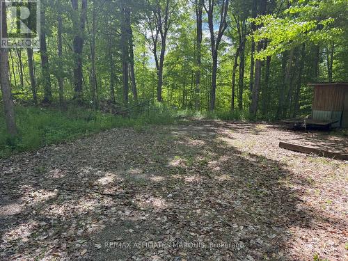 325 Cedar Sands Road, Rideau Lakes, ON 