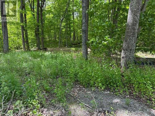 325 Cedar Sands Road, Rideau Lakes, ON 