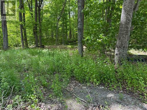 325 Cedar Sands Road, Rideau Lakes, ON 