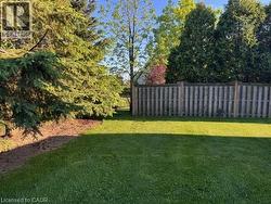 Expansive lawn area featuring a wooden privacy fence, mature evergreen trees, and additional deciduous plantings - 
