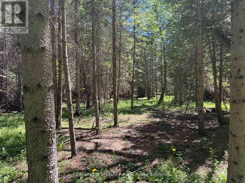 Pt Lt 12 Part 2 18 Grey Road, Meaford, ON 