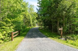 Entry - 