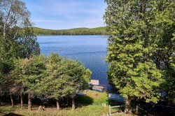 Bord de l'eau - 