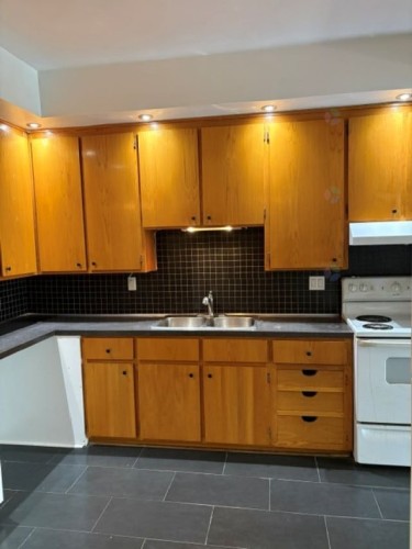 Cuisine - 2184 Rue Gauthier, Montréal (Le Plateau-Mont-Royal), QC - Indoor Photo Showing Kitchen With Double Sink