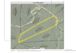 Lot - 