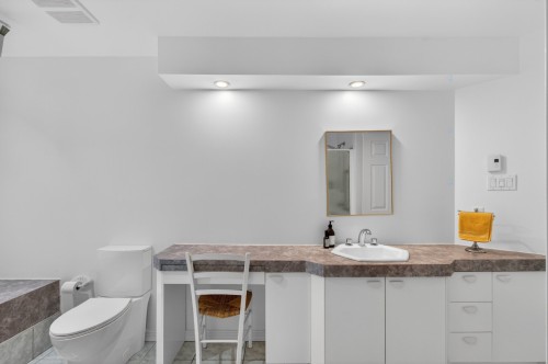 Salle de bains - 8 Rue Des Guides, La Minerve, QC - Indoor Photo Showing Bathroom