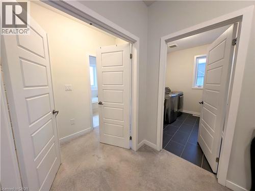 Hallway with light gray carpeting, white trim, and white paneled doors - 37 Mull Avenue, Caledonia, ON - Indoor Photo Showing Other Room