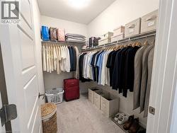 Walk-in closet featuring light grey carpeting, white wire shelving, and extensive hanging rods - 