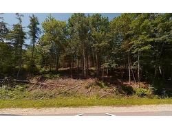 82581133 Shore Road Churchover, NS B0T 1W0