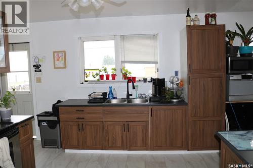 202 Main Street, Young, SK - Indoor Photo Showing Kitchen With Double Sink
