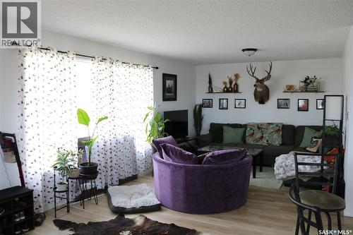 202 Main Street, Young, SK - Indoor Photo Showing Living Room