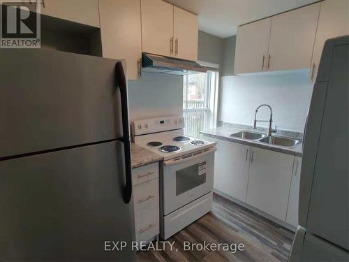97 Ontario Avenue, Hamilton, ON - Indoor Photo Showing Kitchen With Double Sink