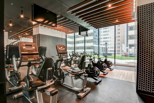Exercise Room - 4714-1210 Rue Jeanne-Mance, Montréal (Ville-Marie), QC - Indoor Photo Showing Gym Room
