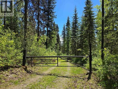 4209 Antoine Lake Road, Horsefly, BC - Outdoor With View
