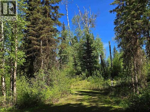 4209 Antoine Lake Road, Horsefly, BC - Outdoor With View