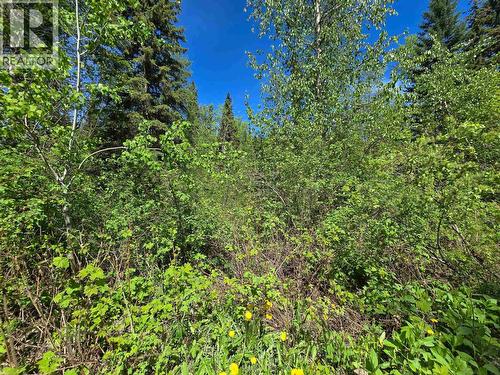 4209 Antoine Lake Road, Horsefly, BC - Outdoor