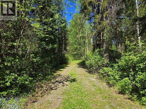 4209 Antoine Lake Road, Horsefly, BC - Outdoor
