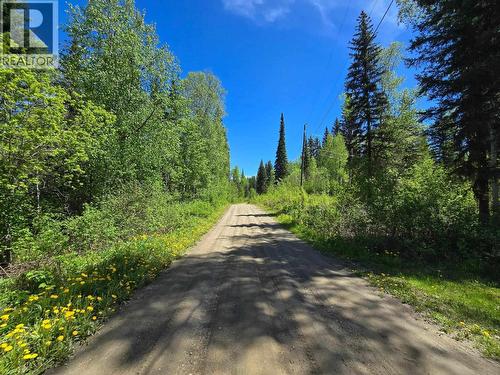 4209 Antoine Lake Road, Horsefly, BC - Outdoor With View
